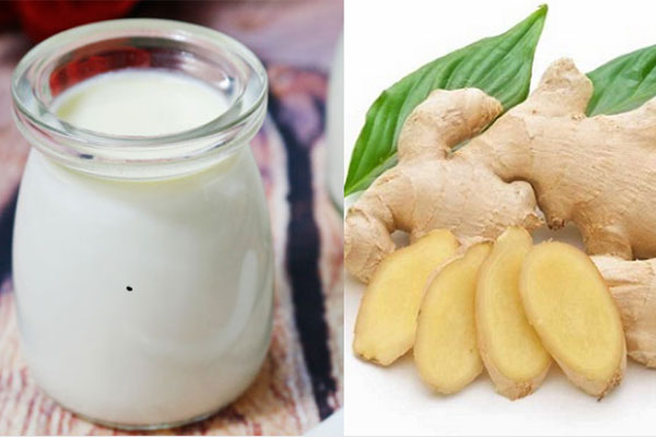 Sữa chua kết hợp với gừng chữa trào ngược dạ dày